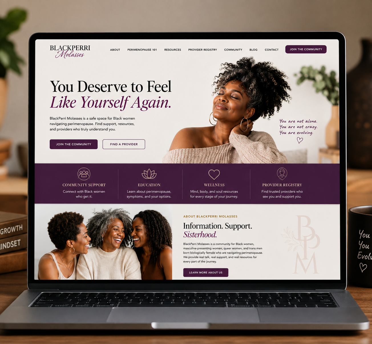 Website Design & Development Services | Shopify